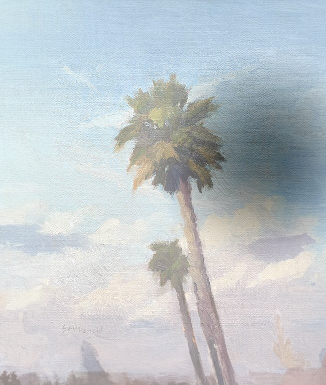 Steven McDonald Capitola Palms